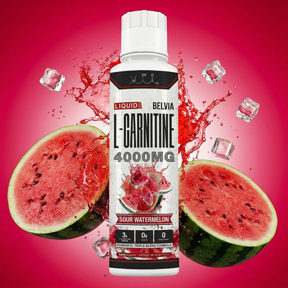Belvia SHRED 4000™ Liquid Carnitine Complex | Burn Fat 3X Faster