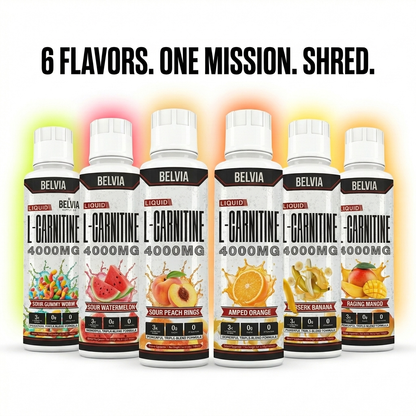 Belvia SHRED 4000™ Liquid Carnitine Complex | Burn Fat 3X Faster