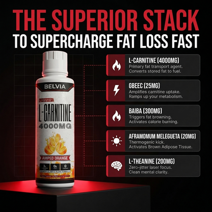 Belvia SHRED 4000™ Liquid Carnitine Complex | Burn Fat 3X Faster