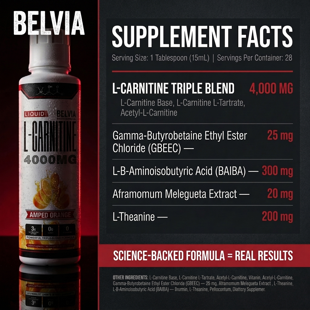 Belvia SHRED 4000™ Liquid Carnitine Complex | Burn Fat 3X Faster
