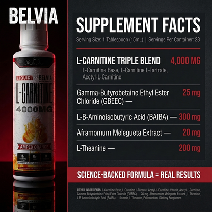 Belvia SHRED 4000™ Liquid Carnitine Complex | Burn Fat 3X Faster