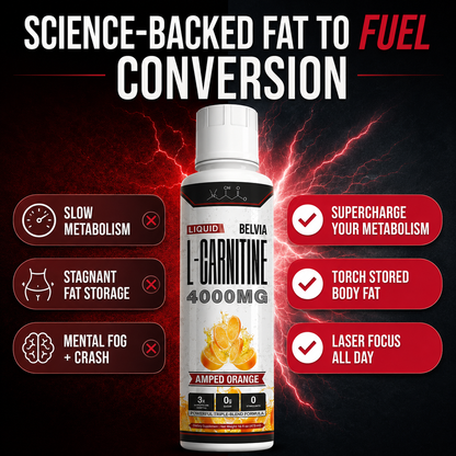 Belvia SHRED 4000™ Liquid Carnitine Complex | Burn Fat 3X Faster